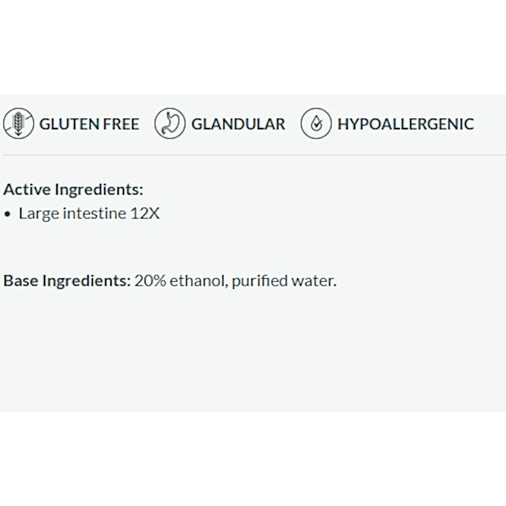 Professional Formulas Large Intestine Drops 1oz