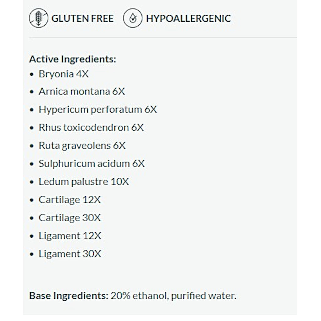 Professional Formulas Large Joint Pain Drops 2oz