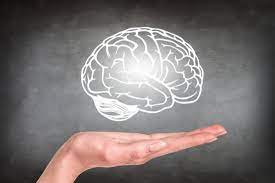 Quick Overview of Gluten and Brain Health