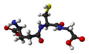 Glutathione Deficiency and Correction