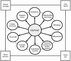 GlyNAC For Glutathione Support