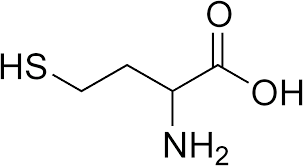 Importance Of Homocysteine Monitoring