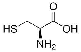 L-Cysteine For People and Dogs
