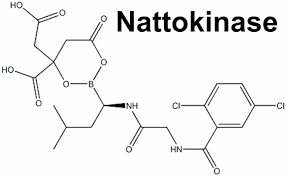 Nattokinase Basics