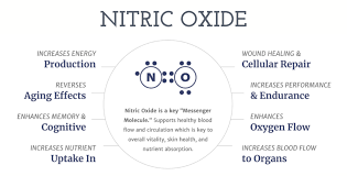 L-Arginine and L-Citrulline For Nitric Oxide Support