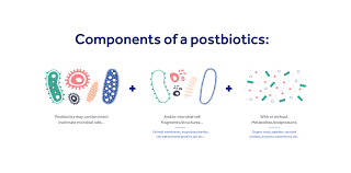 Dead Probiotics: Still Helpful