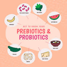 Prebiotics vs Probiotics