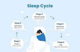 What is Sleep?