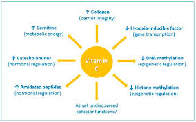 Vaccines and Vitamin C
