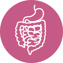 Digestion Support