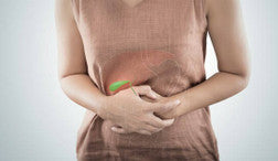 Gall Bladder Support