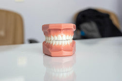 Gum Support