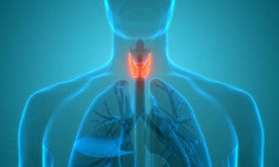 Thyroid Support