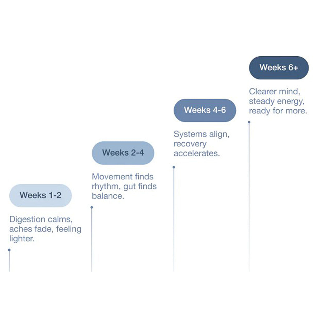 Chart detailing recovery milestones over time with text labels.
