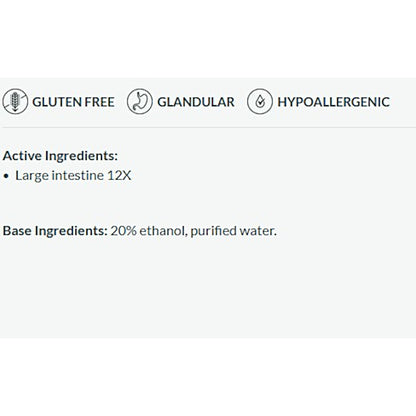 Professional Formulas Large Intestine Drops 1oz