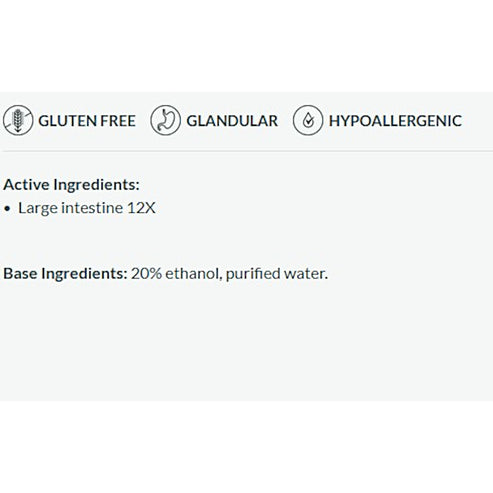 Professional Formulas Large Intestine Drops 1oz