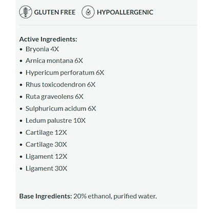 Professional Formulas Large Joint Pain Drops 2oz