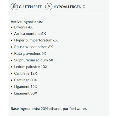 Professional Formulas Large Joint Pain Drops 2oz