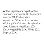 List of homeopathic remedies with their potencies on a white background