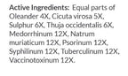 List of active ingredients in a homeopathic preparation on a white background