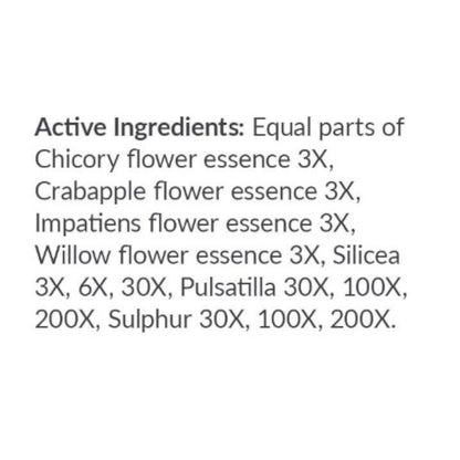 List of active ingredients in a product on a white background