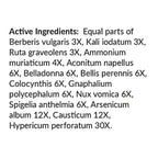 List of active ingredients in a herbal preparation on a white background