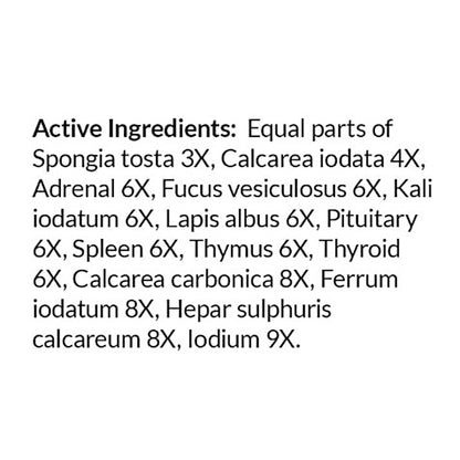 List of active ingredients on a white background
