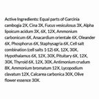 List of active ingredients on a white background