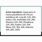 Professional Formulas Asbestox Drops 2oz