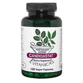 A bottle of Candidastat dietary supplement by Vitanica, containing 120 vegan capsules. The product is in a dark green translucent bottle with a black ribbed cap and a white label featuring green leaf illustrations and a purple brand banner.