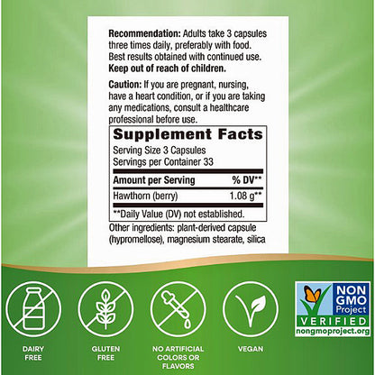 Back of a supplement box showing usage recommendation, supplement facts label, and a green-and-white panel with icons for dairy free, gluten free, no artificial colors or flavors, and vegan. A Non-GMO Project Verified logo appears in the lower right.