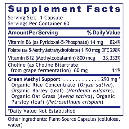 A supplement facts label showing a serving size of 1 capsule, with listed nutrients including Vitamin B6, Folate, and Vitamin B12, plus a section for Green Methyl Support ingredients such as organic rice concentrate, barley leaf, oat grass, and parsley. The label is presented on a white background with dark blue text and lines.