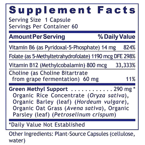 Premier Research Labs Phyto Methylate 60 vegetarian capsules
