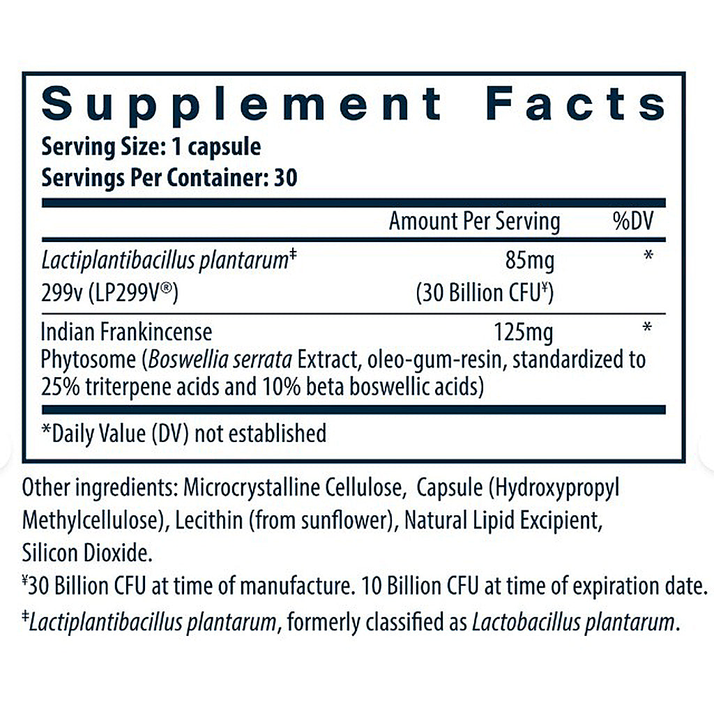 Supplement facts label for a capsule containing Lactiplantibacillus plantarum and Indian Frankincense.