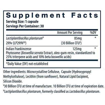 Supplement facts label for a capsule containing Lactiplantibacillus plantarum and Indian Frankincense.